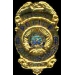 LONG BEACH, CA POLICE DEPARTMENT LIEUTENANT BADGE PIN